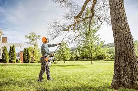 Best Tree Health Inspection  in Potomac Park, CA